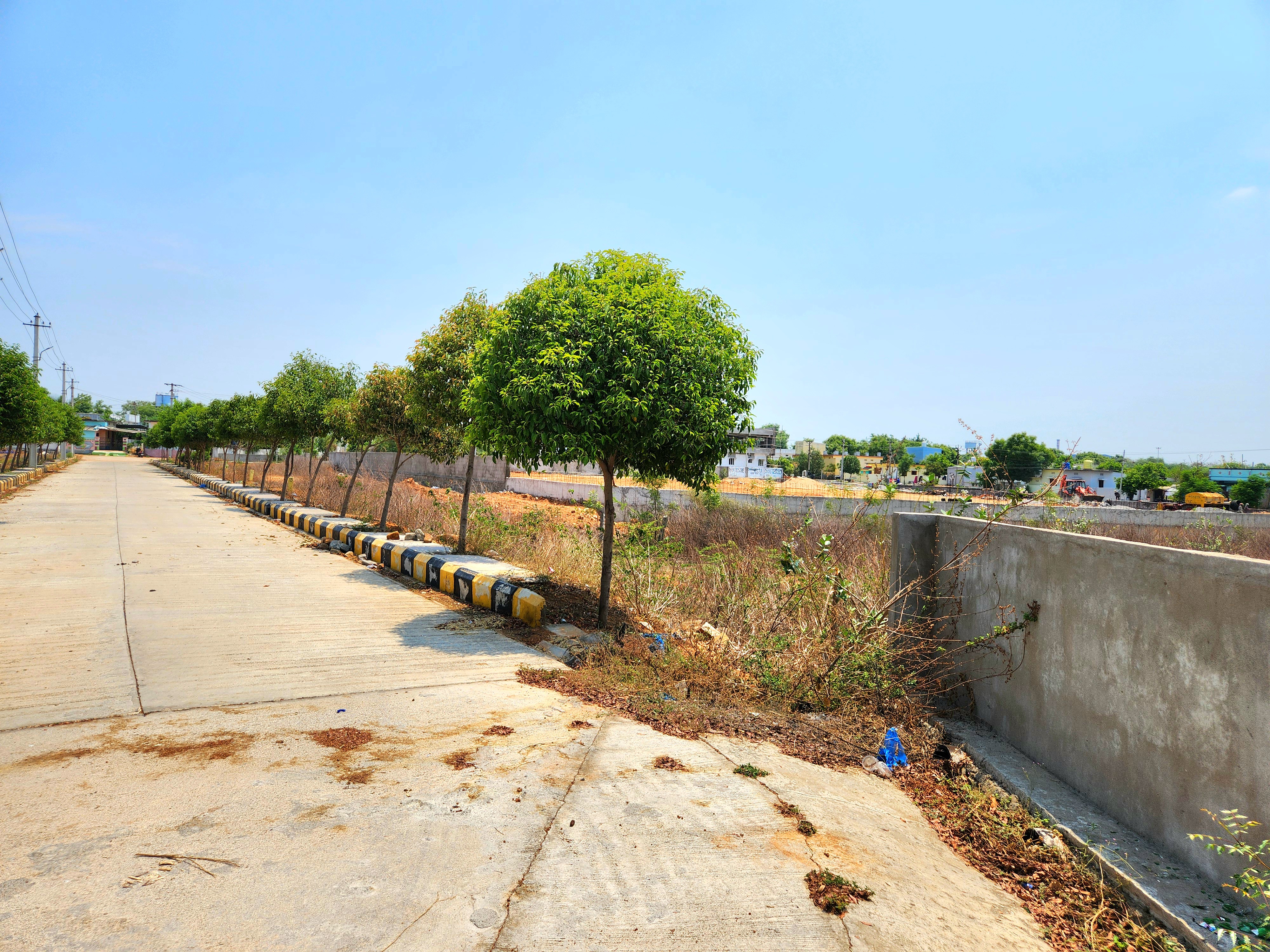 ever mark properties